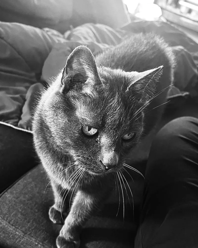 Luna